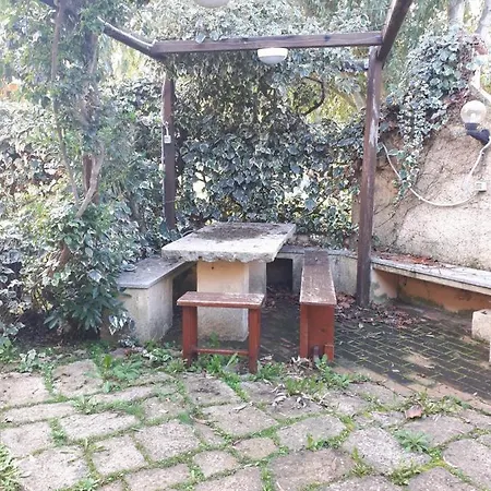 Apartment A Due Passi Dal Mare