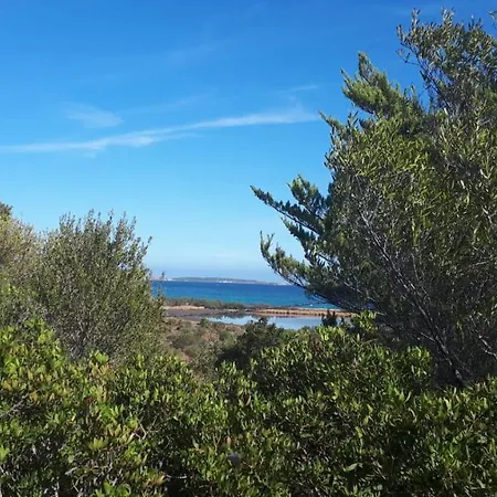 Apartment A Due Passi Dal Mare